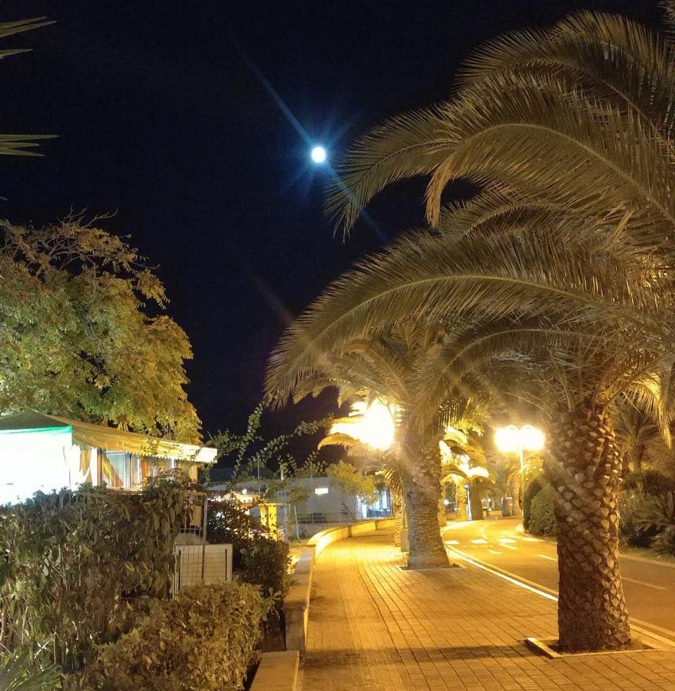 Neighbourhood, Beach, Cycling