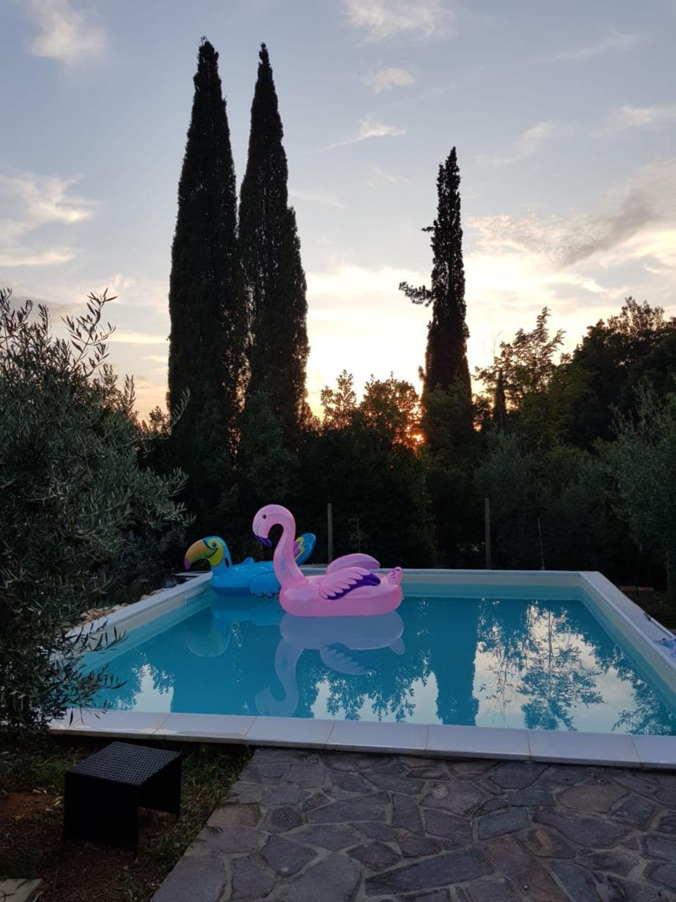 Pool view, Swimming pool, Sunset