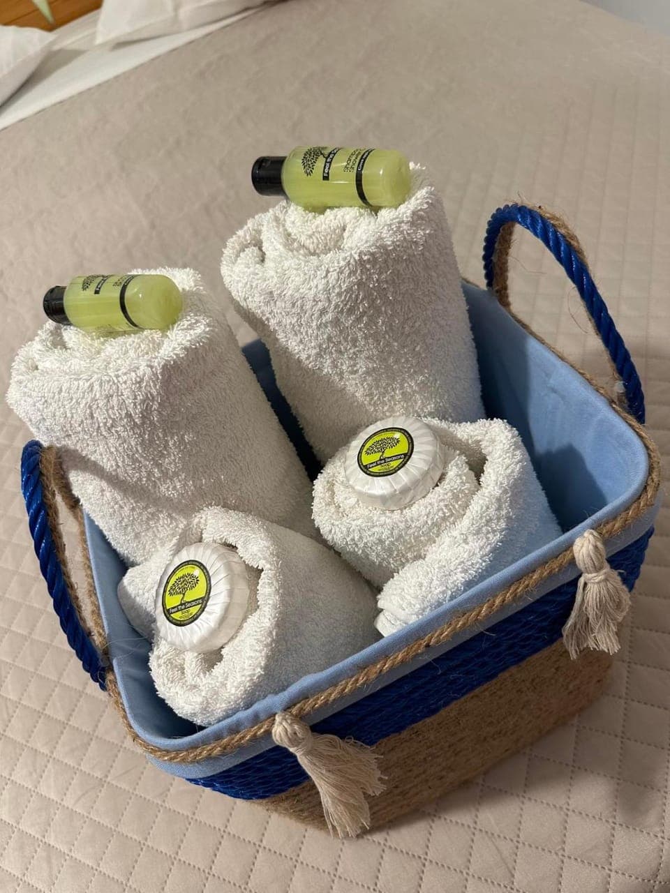 Area and facilities, towels