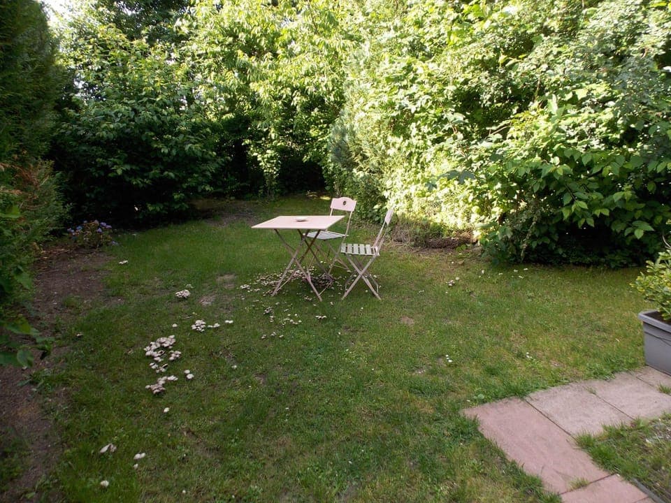 Garden, Balcony/Terrace