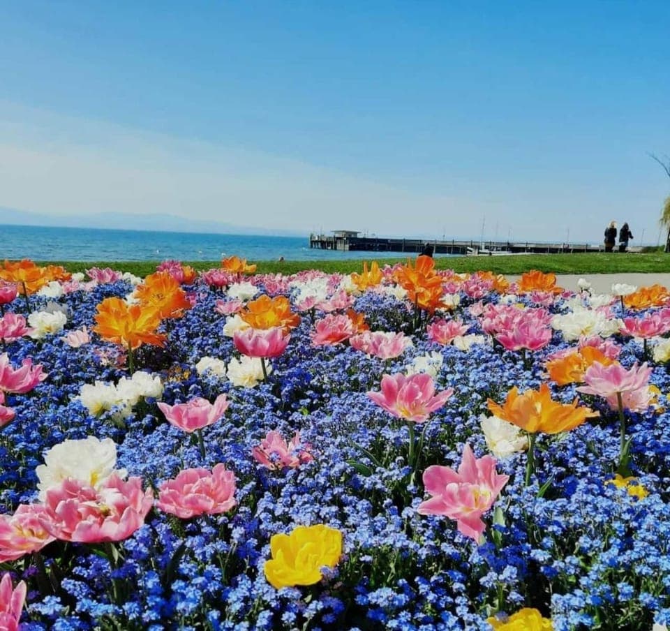 Nearby landmark, Natural landscape, Beach