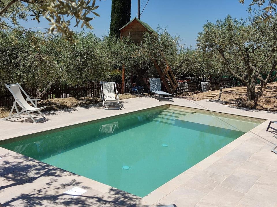 Garden, Swimming pool, Swimming pool