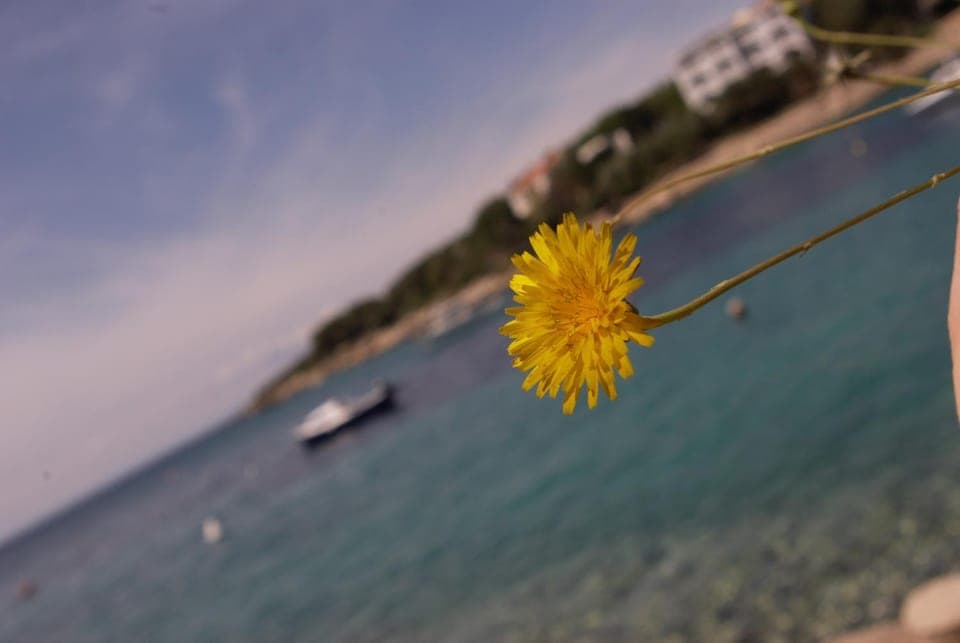 Peaceful Family Beach Apartment Apartment in Novalja