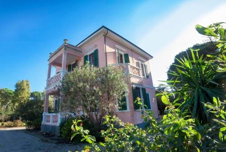 Property building, Spring, Day, Bird's eye view, Garden, Garden view, Sea view