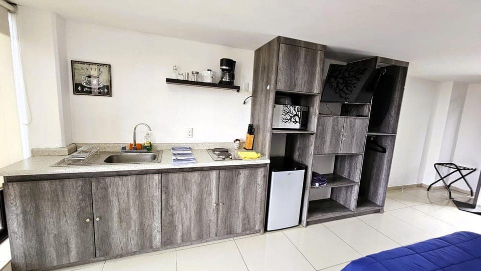 Kitchen or kitchenette, oven, stove