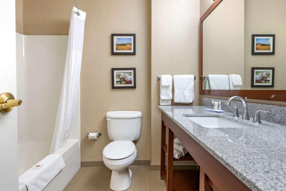 Bathroom, Photo of the whole room, On site
