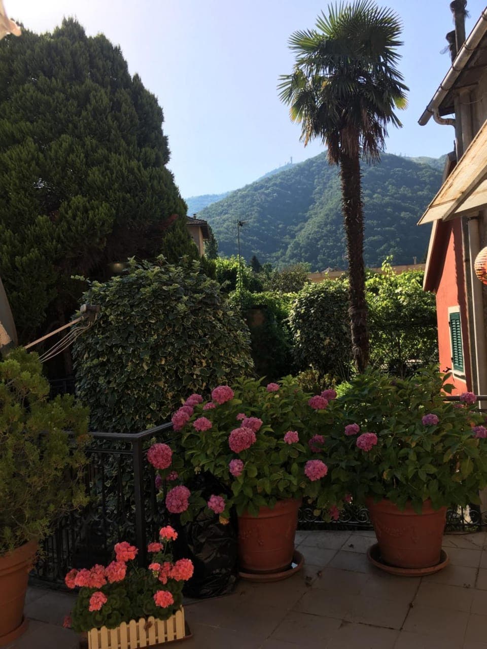 Balcony/Terrace, Mountain view