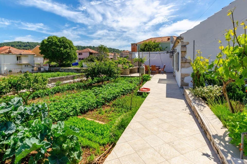 Patio, Garden, Garden view