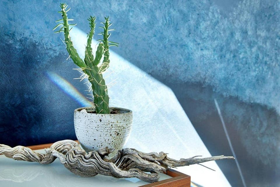 Natural landscape, Text overlay