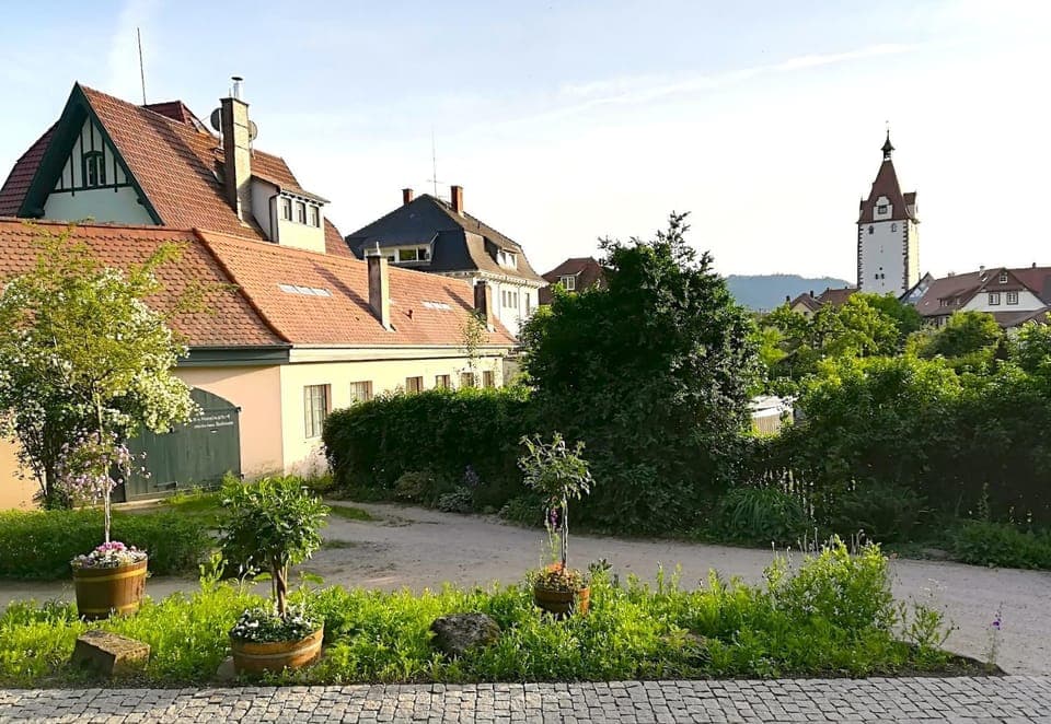 Day, Neighbourhood, Garden view, Landmark view