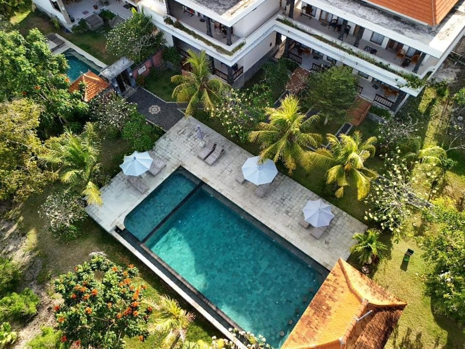Day, Bird's eye view, Garden, Garden view, Pool view, Swimming pool, sunbed