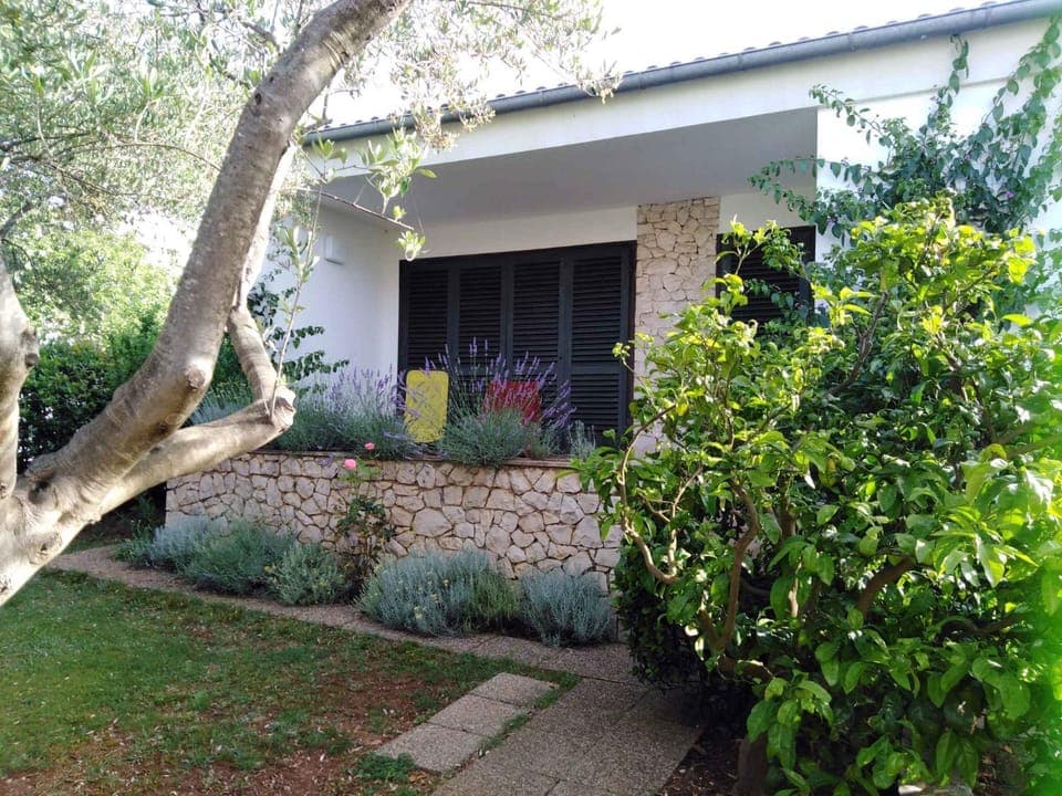 Property building, Garden