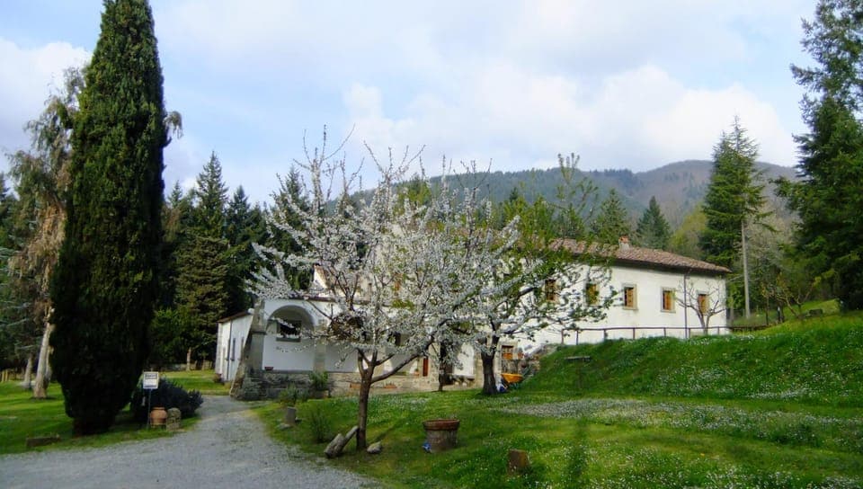 Property building, Natural landscape