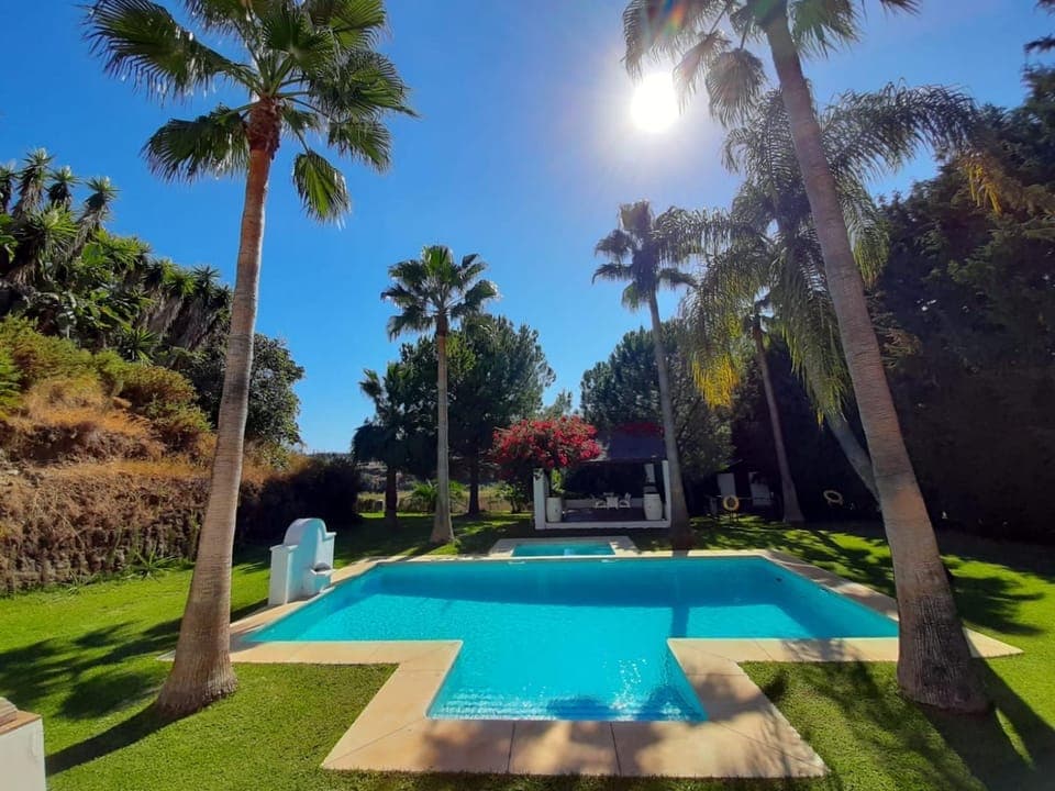 Spring, Day, Natural landscape, Garden, Garden view, Pool view, Swimming pool, sunbed