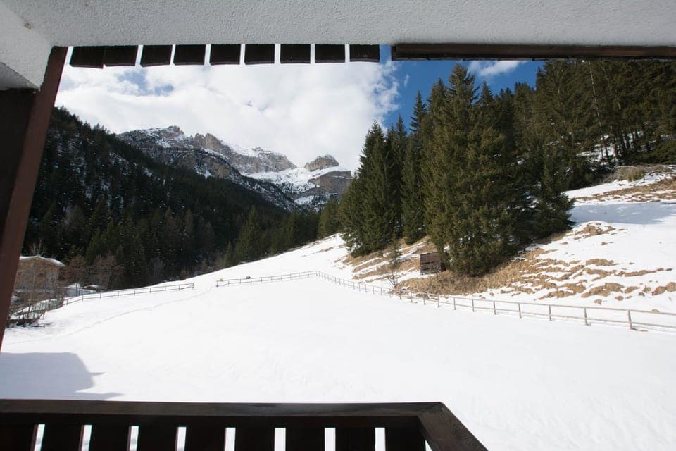 Winter, Mountain view