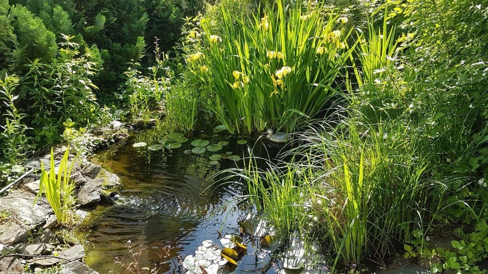 Property building, Garden
