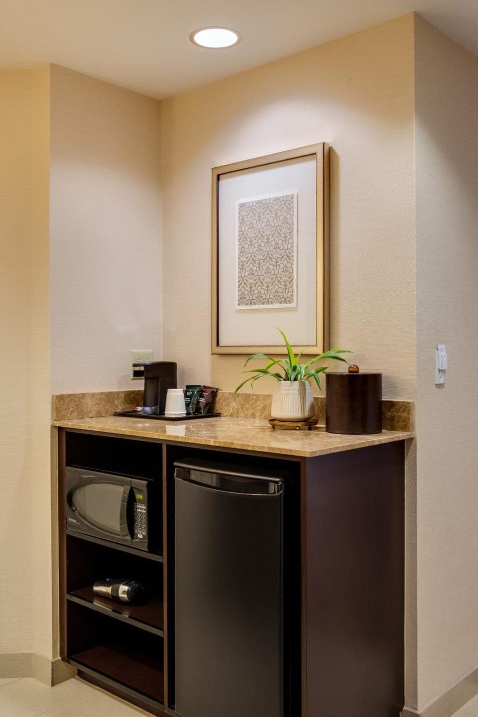 Coffee/tea facilities, minibar