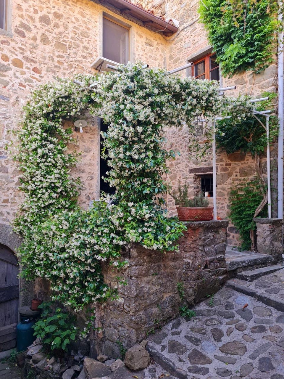Property building, Inner courtyard view