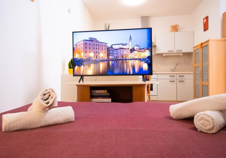 Communal lounge/ TV room, TV and multimedia