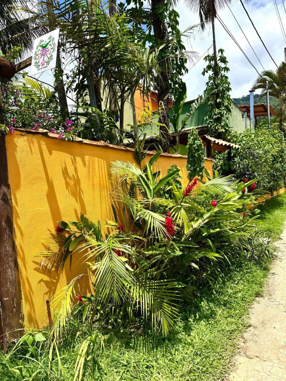 Natural landscape, Garden view, Street view