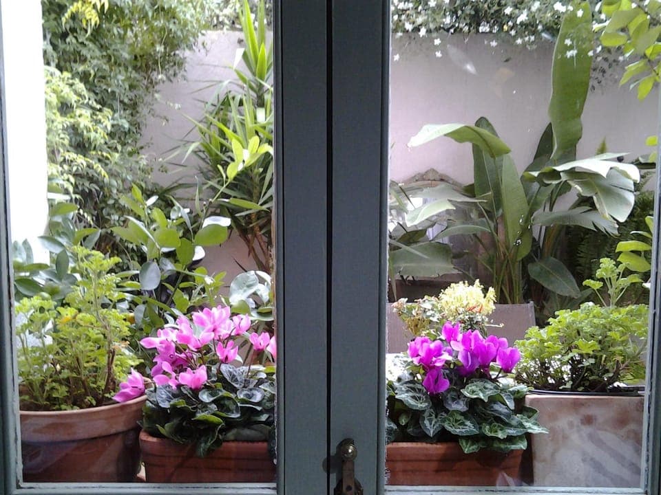 Decorative detail