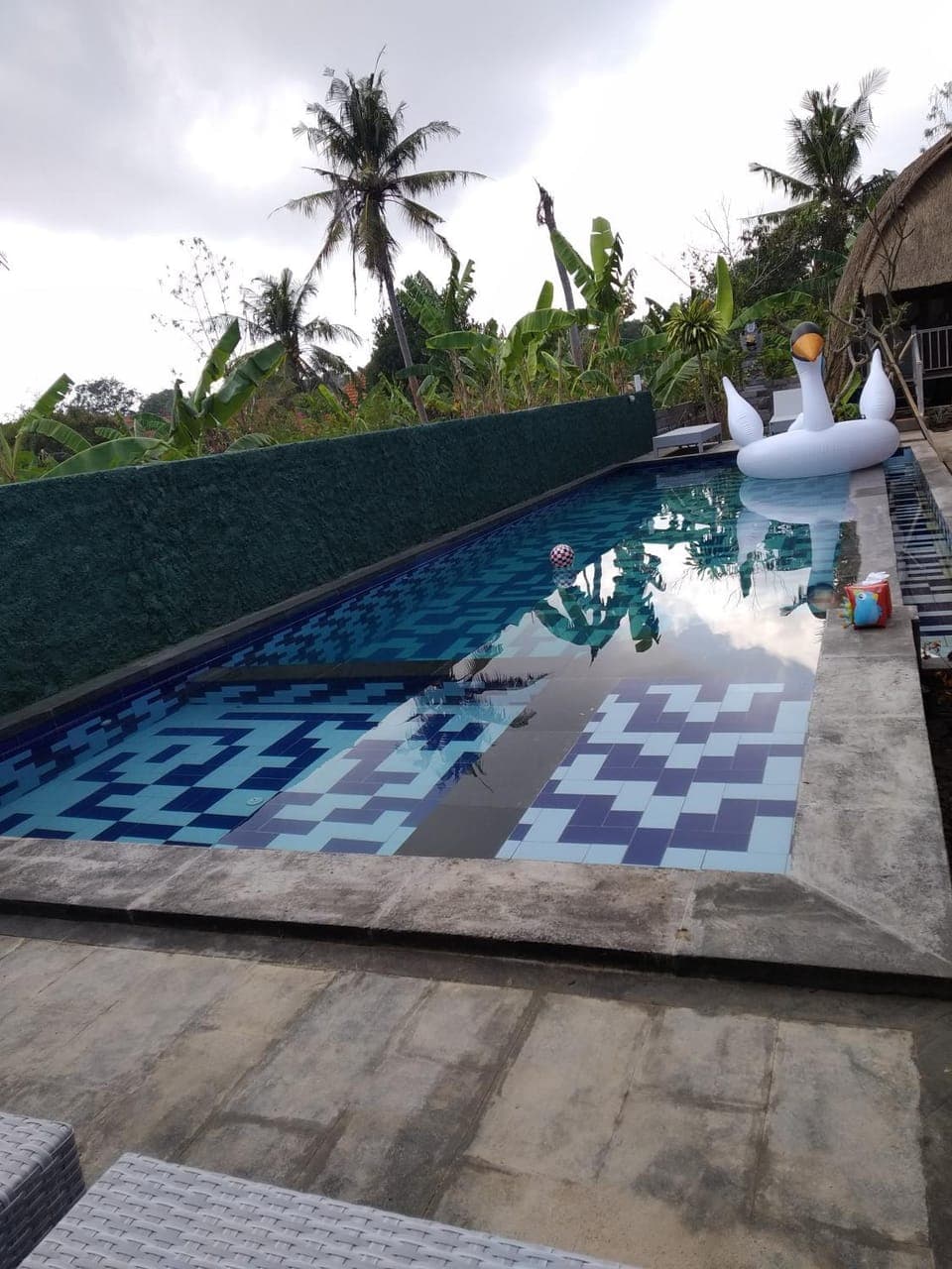 Swimming pool, Swimming pool