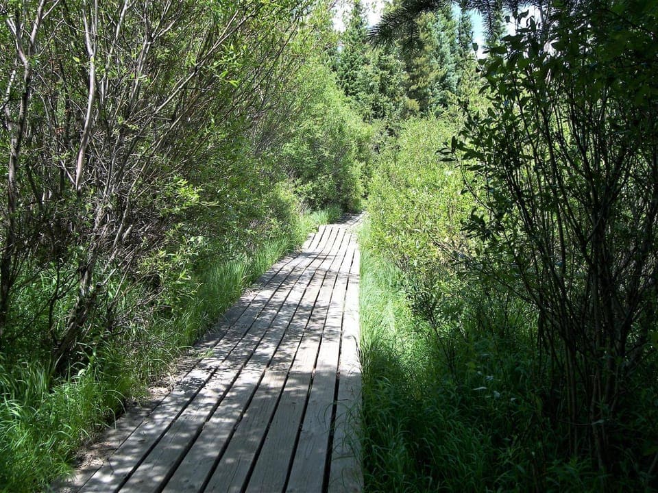 Natural landscape