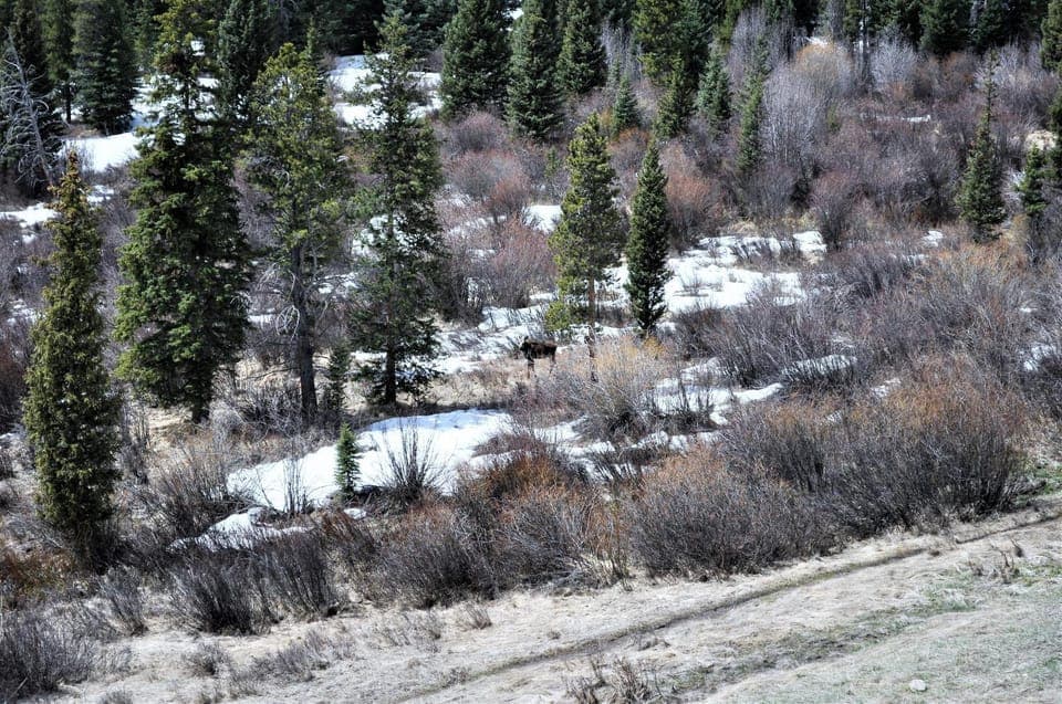Natural landscape, Winter
