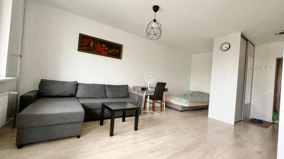 Bed, Living room, Photo of the whole room, Seating area