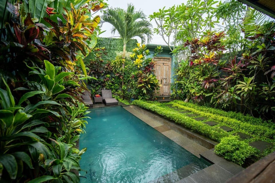Natural landscape, Garden, Swimming pool