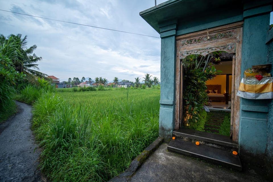 Property building, Day, Garden