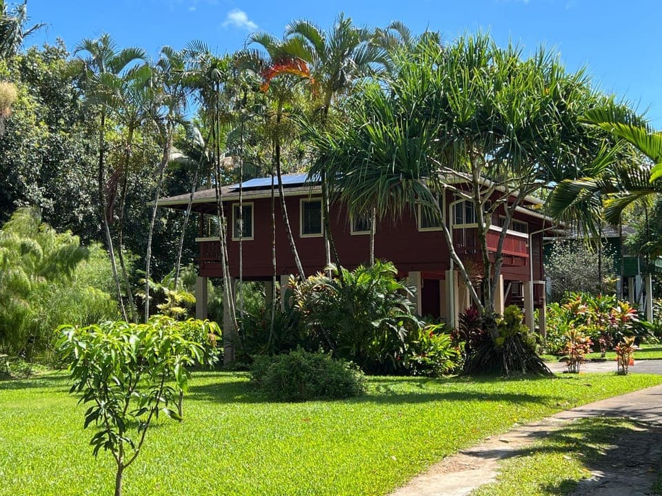 Natural landscape, Activities, Garden, Snorkeling, Spa and wellness centre/facilities, Beach, Tennis court, Windsurfing, Hiking, Cycling, Diving, Animals, Guests, River view, Supermarket/grocery shop, children, Family