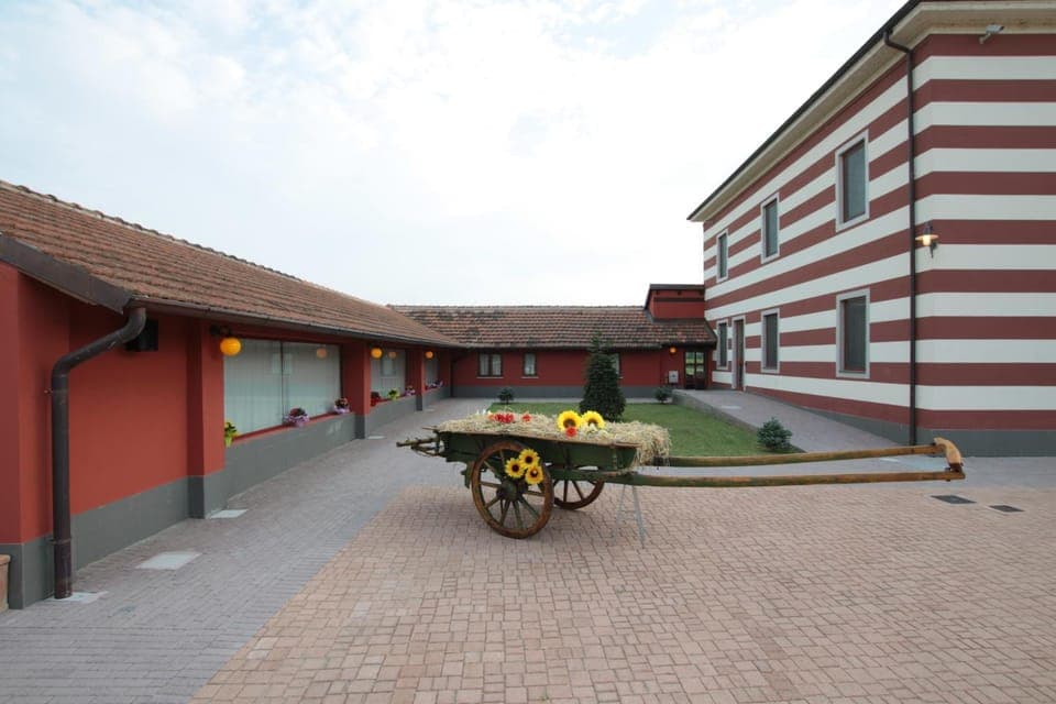 Spring, Day, Garden, Area and facilities