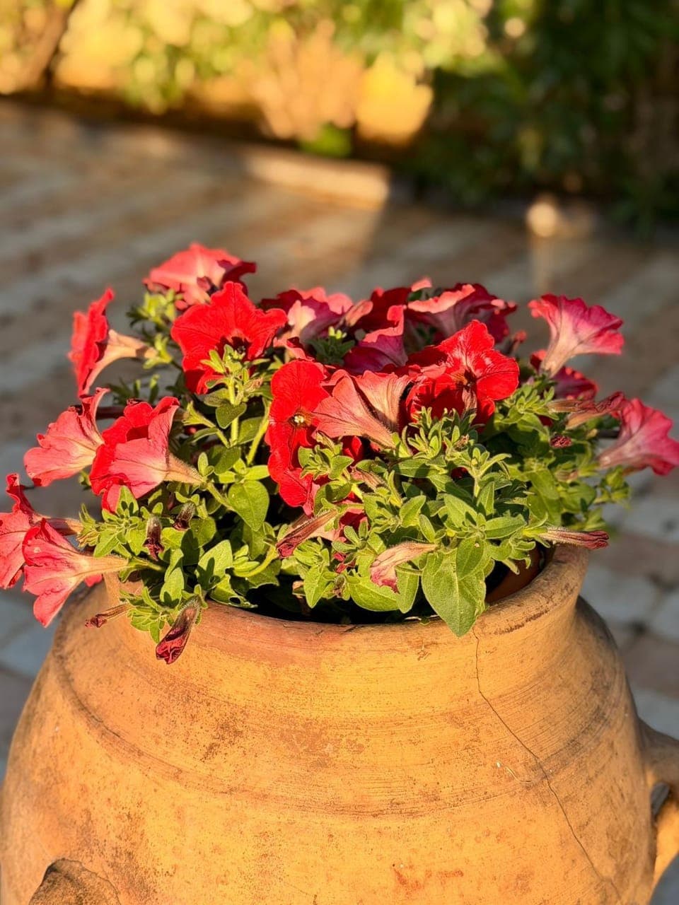 Bed&Breakfast Vanni Bed and Breakfast in Zadar County