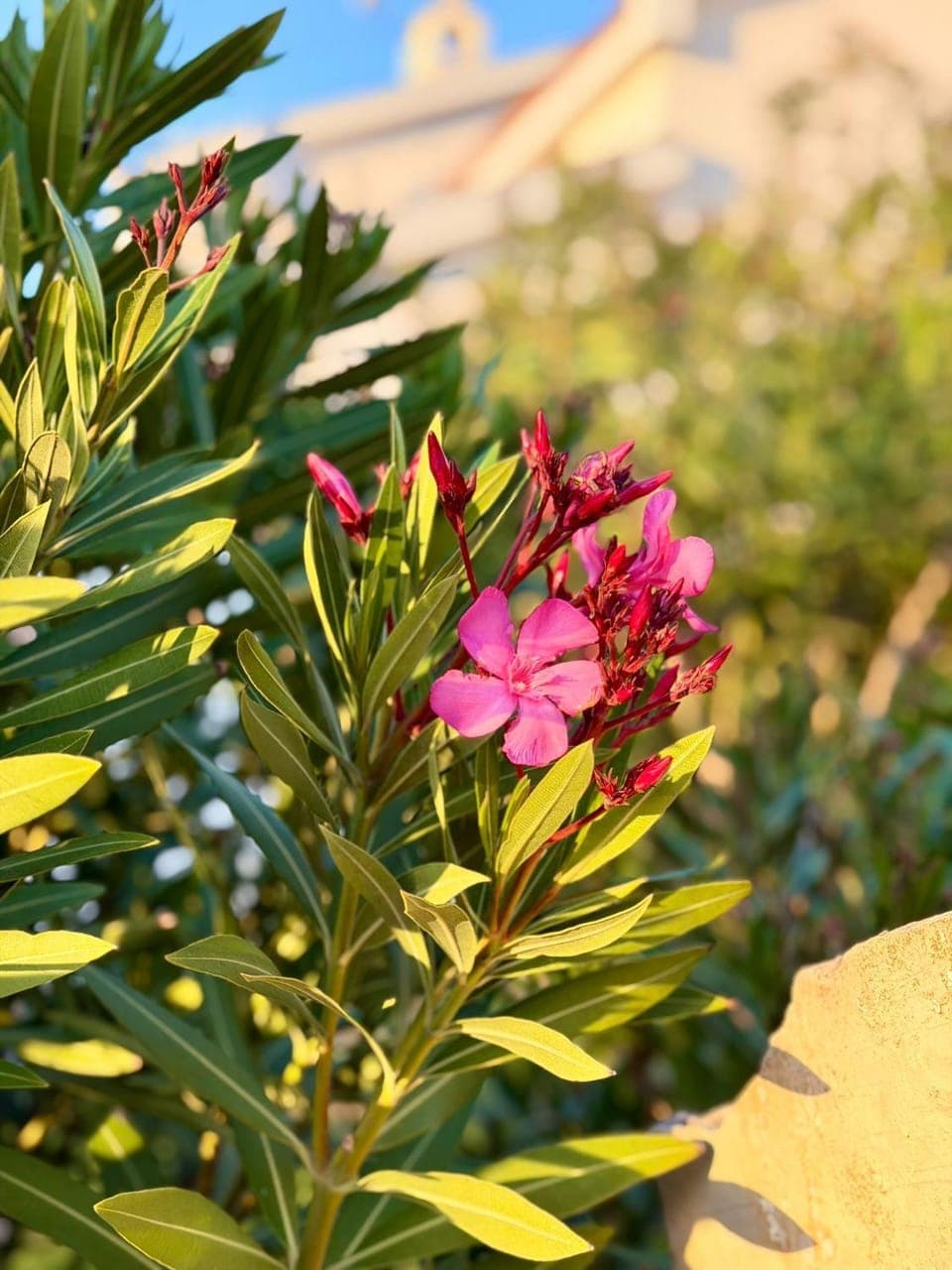 Bed&Breakfast Vanni Bed and Breakfast in Zadar County