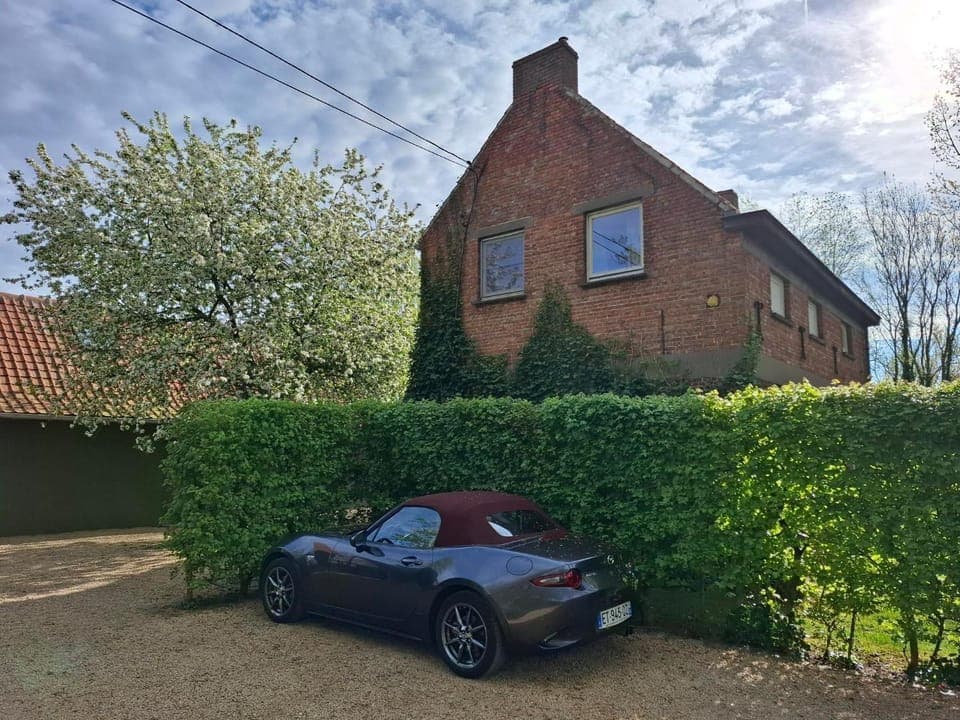 Property building, Spring