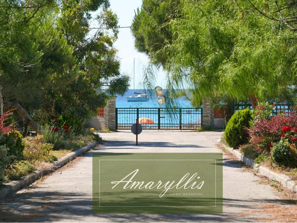 Garden view, Sea view, Street view