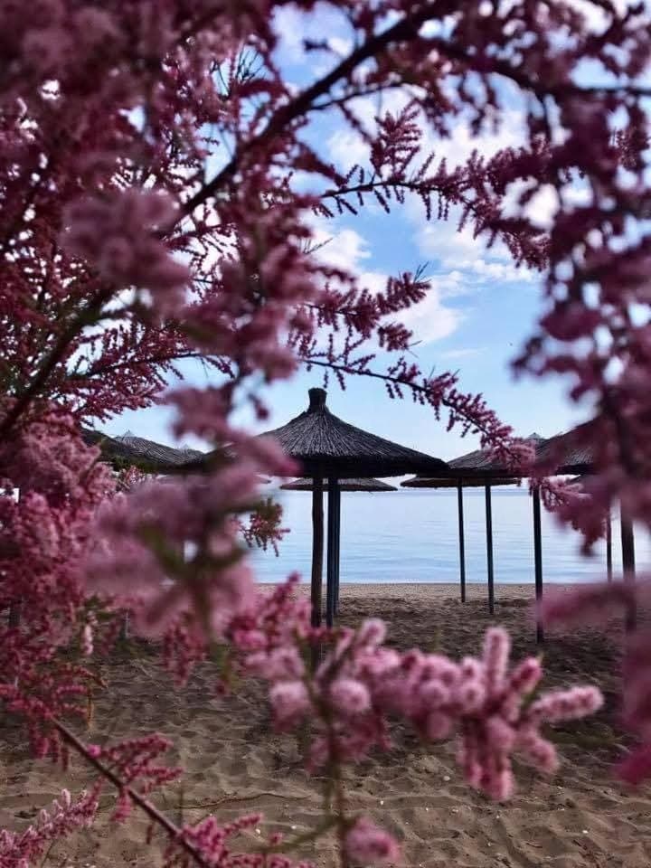 Spring, Natural landscape, Sea view