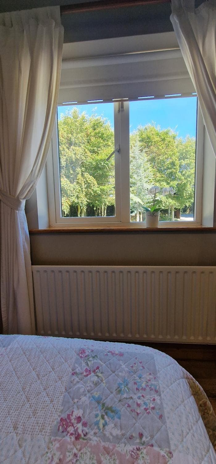 Natural landscape, Photo of the whole room, Bedroom