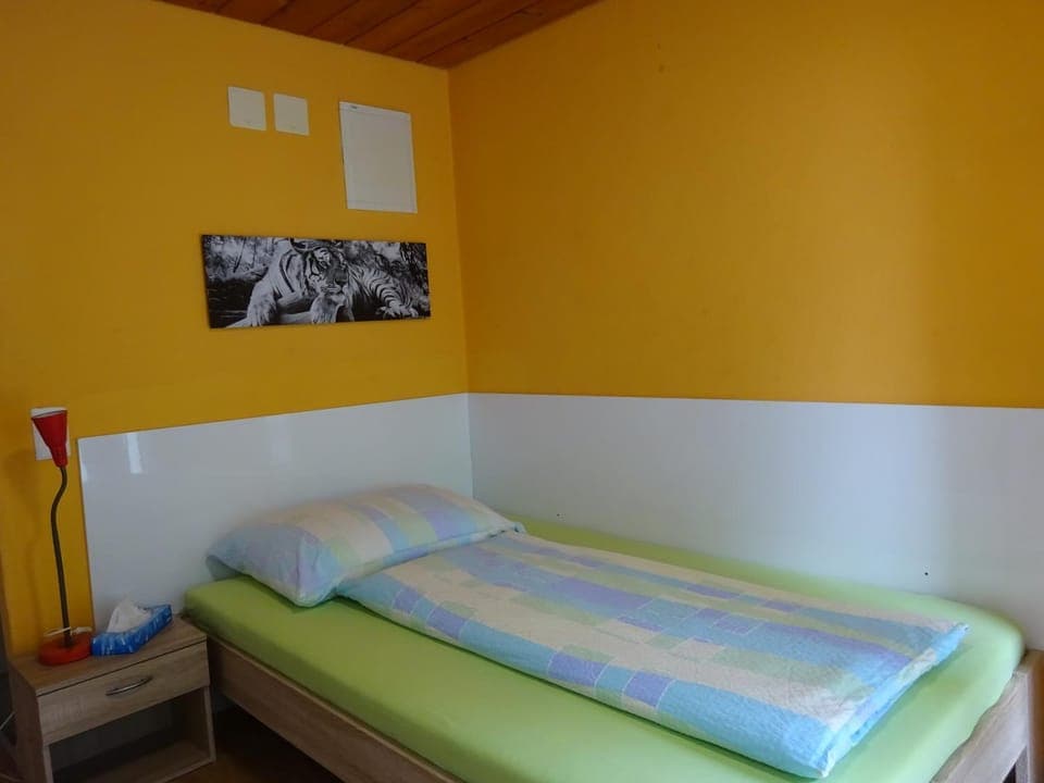 Shower, Toilet, Bed, TV and multimedia