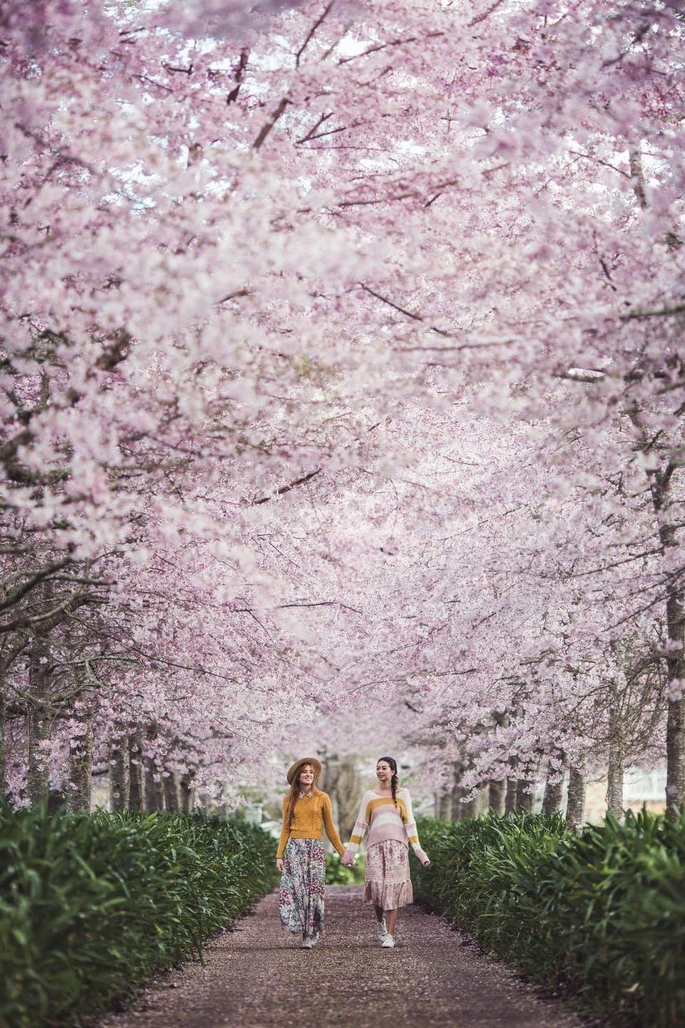 Spring, Natural landscape, Garden