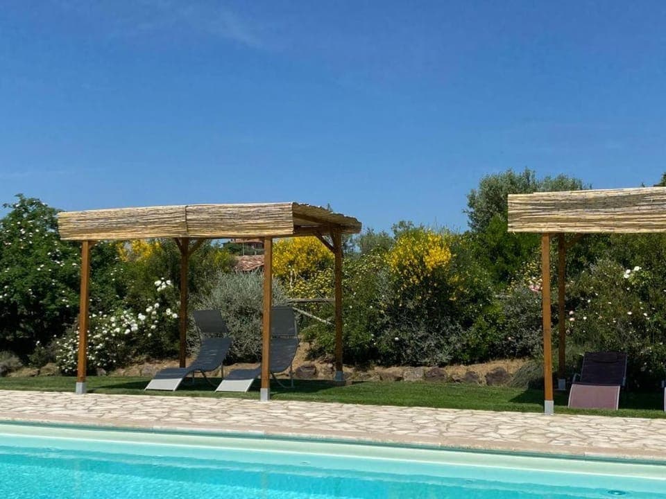 Spring, Garden, Garden view, Pool view, Swimming pool, sunbed