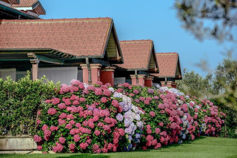 Natural landscape, Garden view
