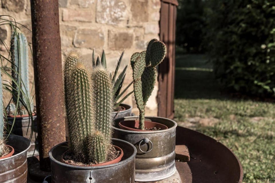 Garden, Decorative detail