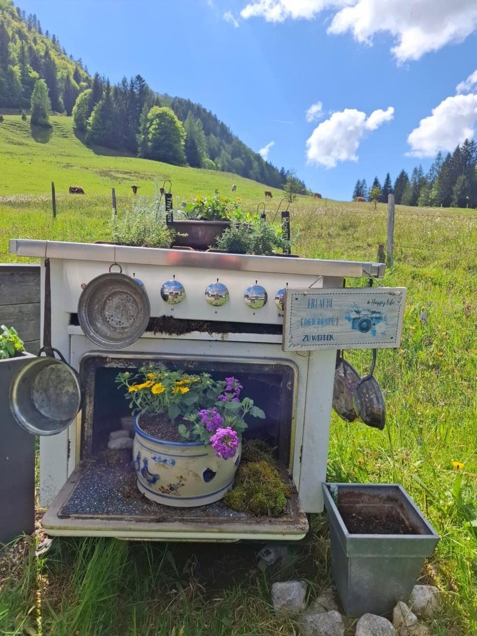 Restaurant/places to eat