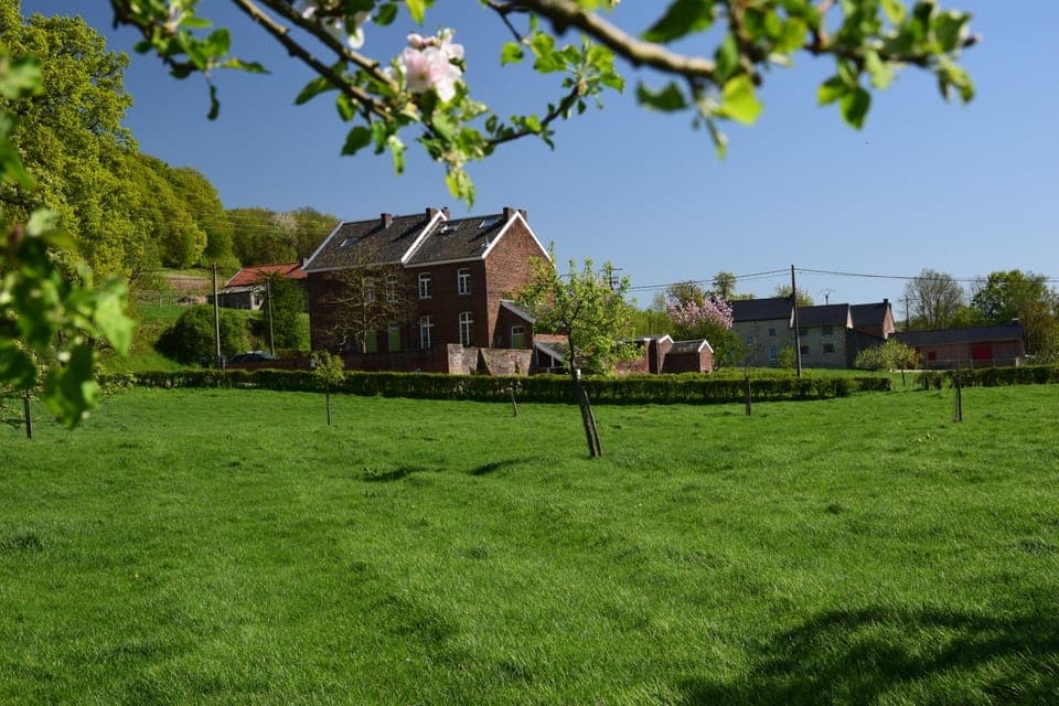 Property building, Neighbourhood