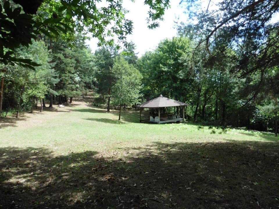 Garden, On site, Garden view