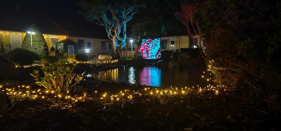 Night, Garden, Garden view