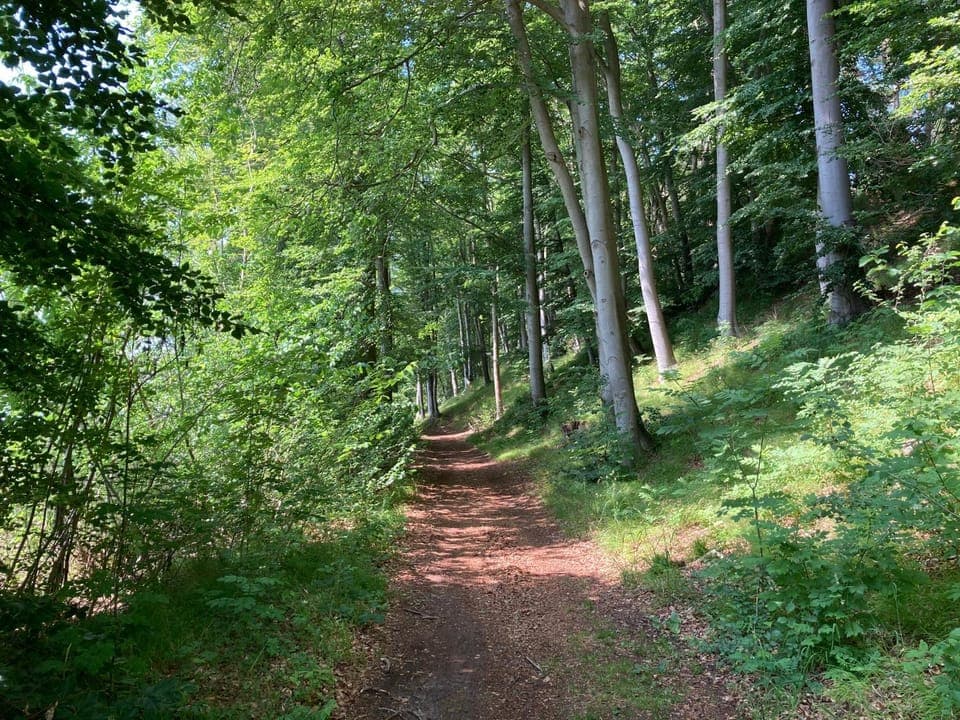 Restaurant/places to eat, Natural landscape