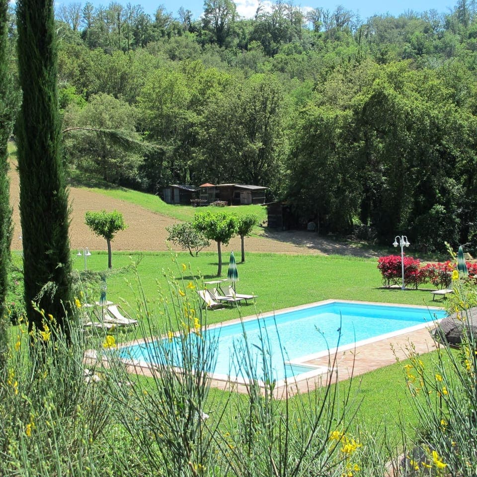 Pool view, Swimming pool